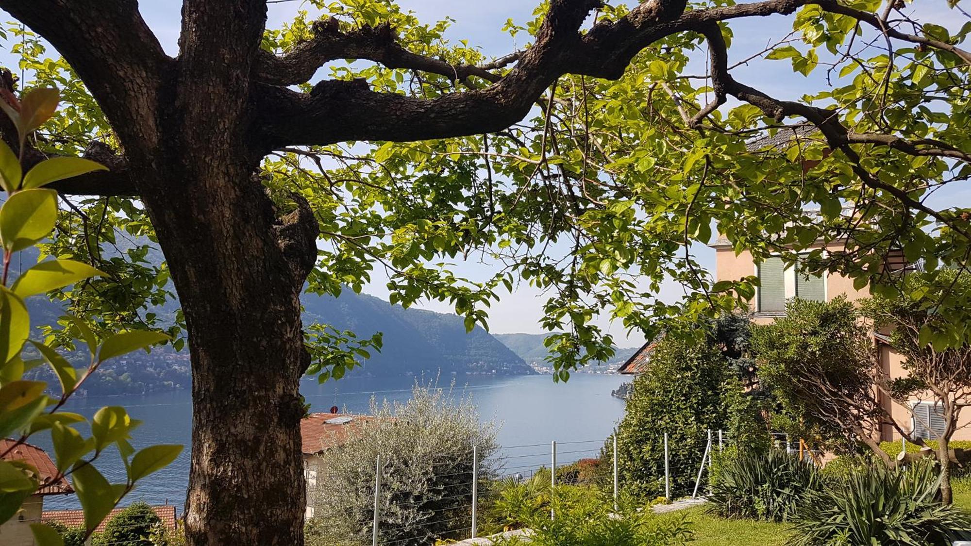 Apartament Flora Moltrasio Zewnętrze zdjęcie
