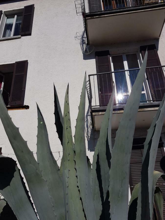 Apartament Flora Moltrasio Zewnętrze zdjęcie
